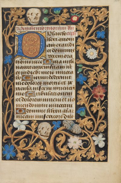 Decorated Initial D by Unbekannt Unbekannt